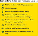 Ail Noir - Complément alimentaire à base de plantes - anti-stress et anti-fatigue - Renforce les defenses immunitaire - 60 gélules par boîte - Livraison Offerte